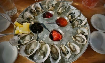 oyster oysters
