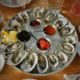 oyster oysters