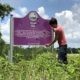 Emmett Till
