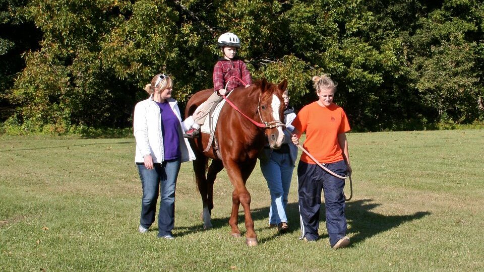 rainbow farms therapy