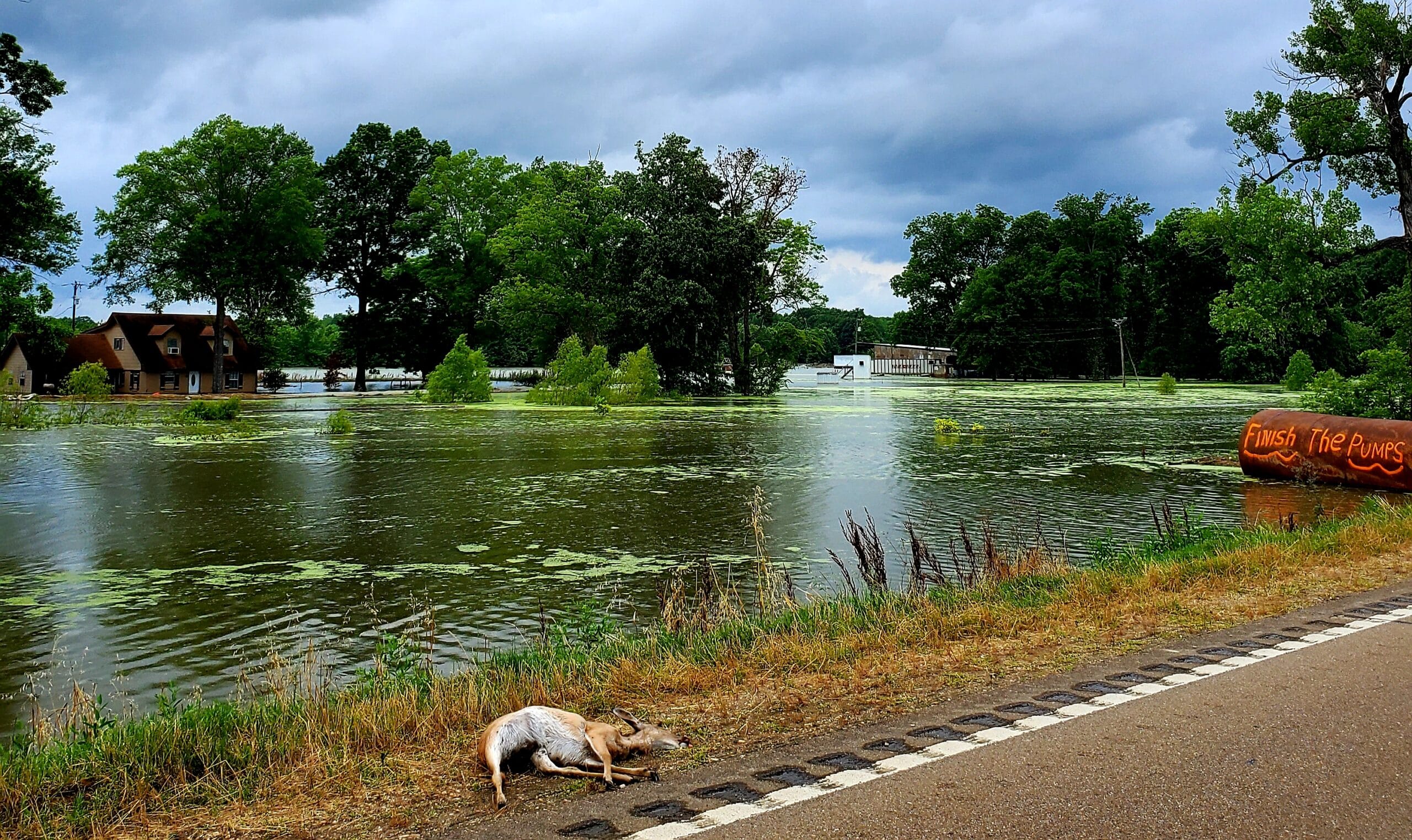 backwater pumps