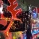 Parade of Lights