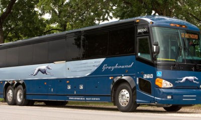 greyhound bus