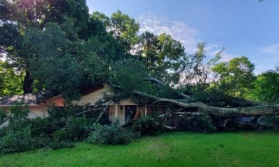 THe Cary's home on Longview Avenue was crushed under a fallen tree. (Photo by David Day)