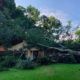 THe Cary's home on Longview Avenue was crushed under a fallen tree. (Photo by David Day)