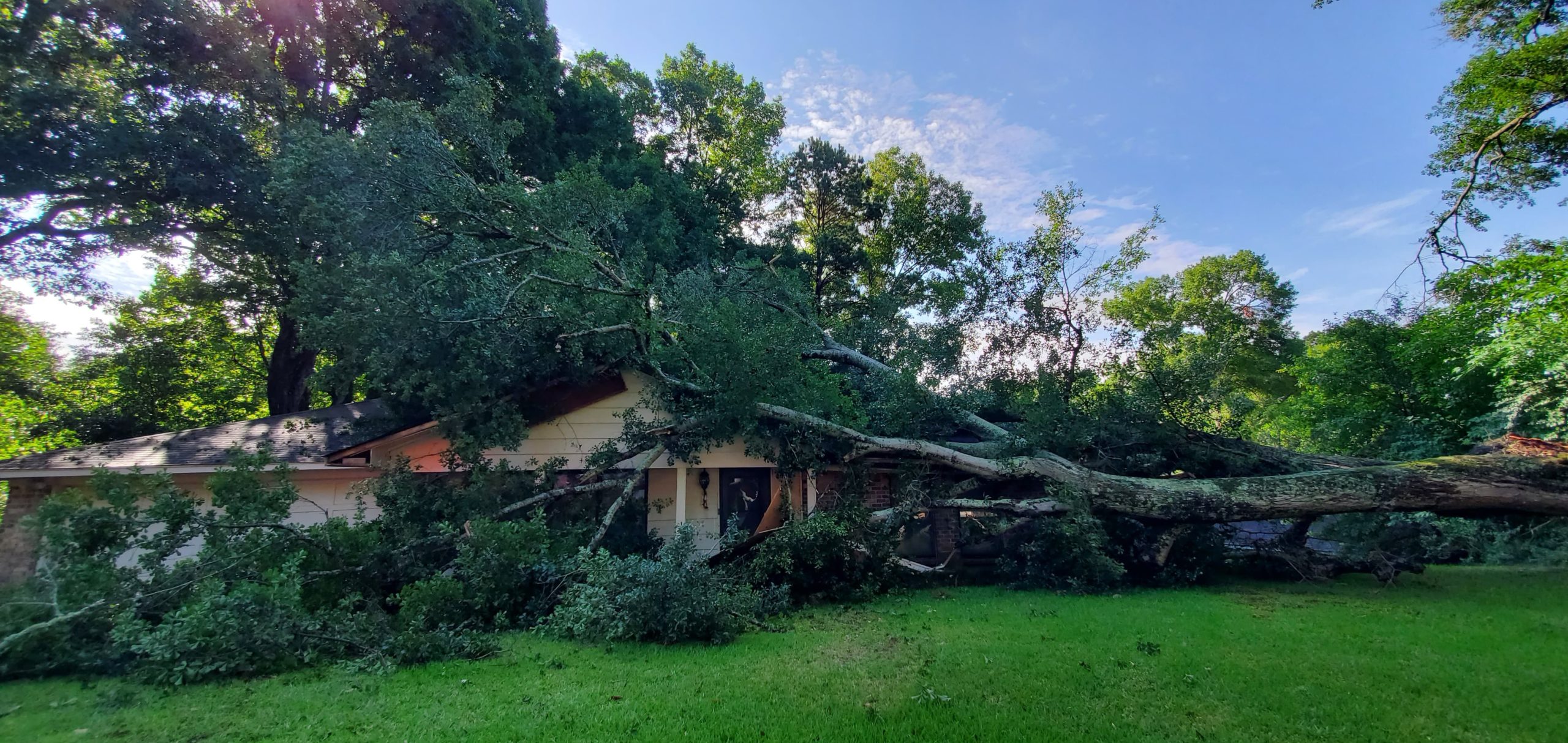 THe Cary's home on Longview Avenue was crushed under a fallen tree. (Photo by David Day)