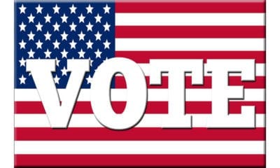 vet the vote