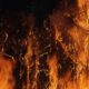 wildfire prevention