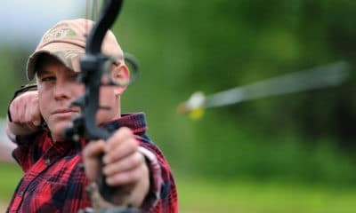 archery bow hunting