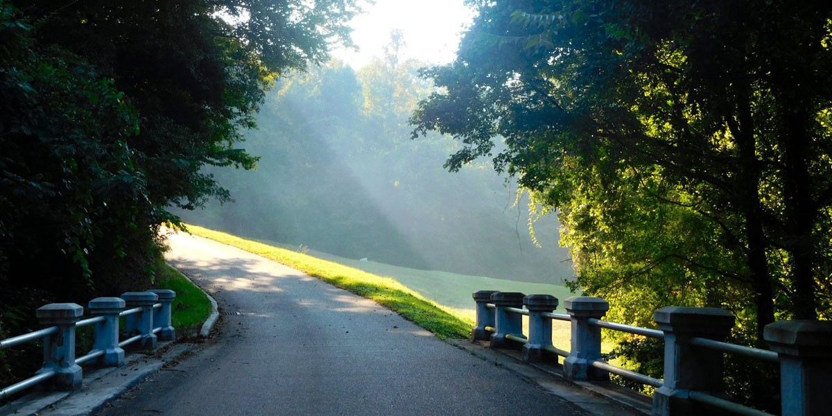 Vicksburg National Military Park road