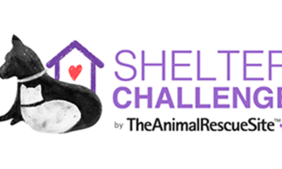 Vicksburg Animal Shelter contest