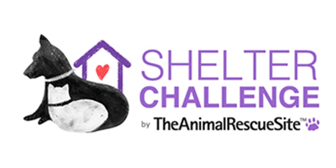 Vicksburg Animal Shelter contest