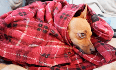stay warm