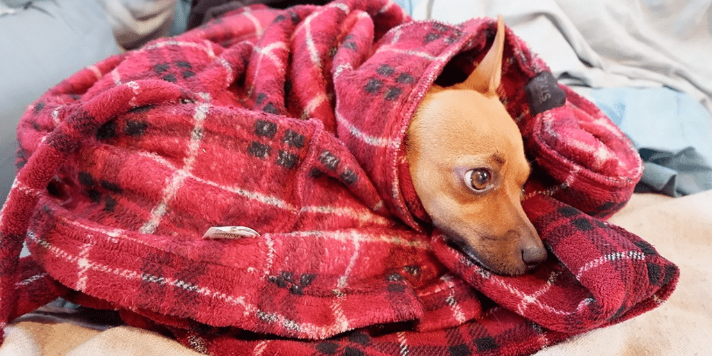 stay warm