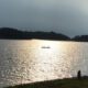 sardis lake youth hunt