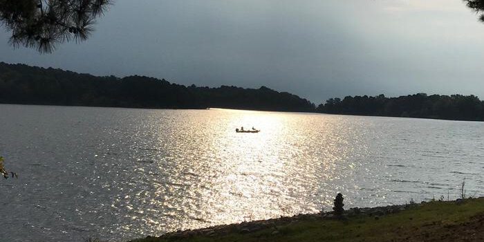 sardis lake youth hunt