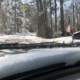 traffic alert tree oak ridge