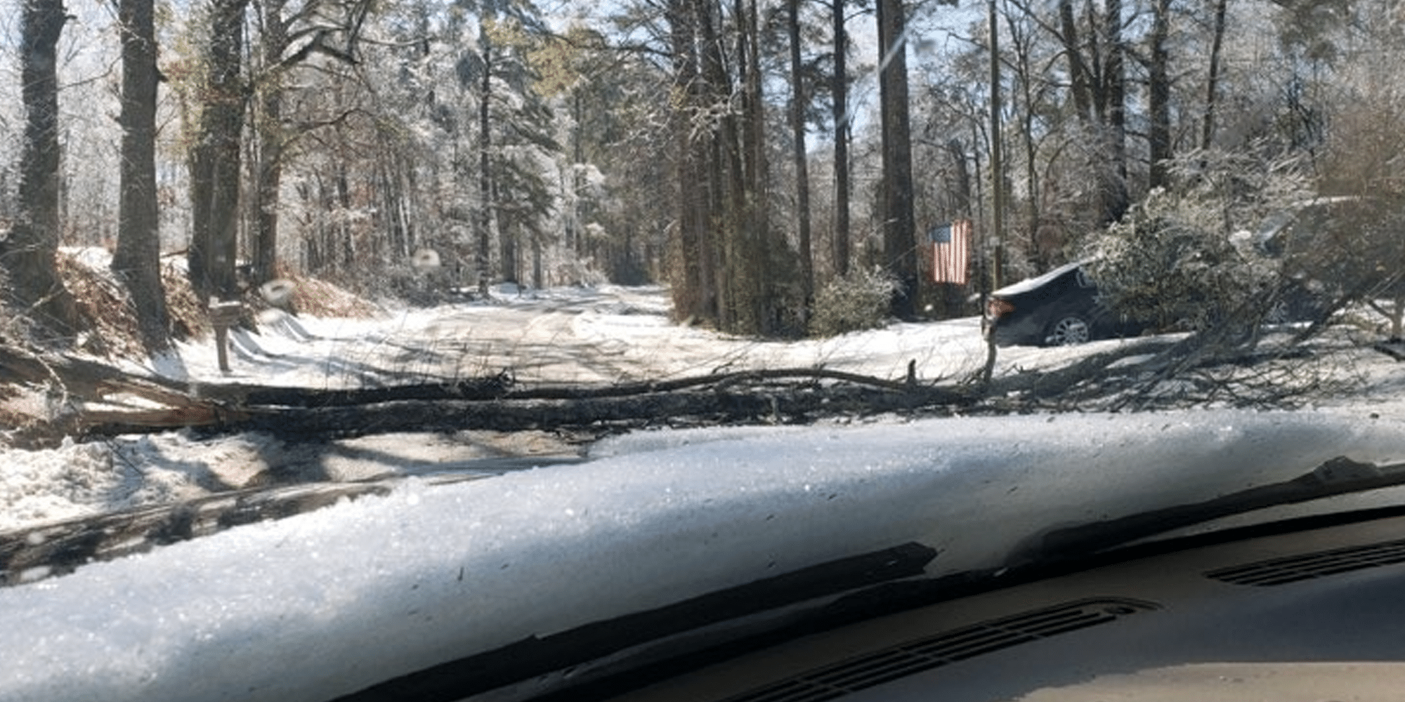 traffic alert tree oak ridge