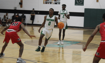 vhs basketball provine