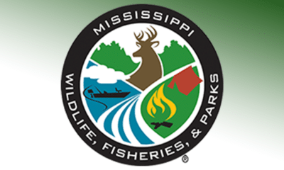 mississippi state parks