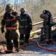 firefighters