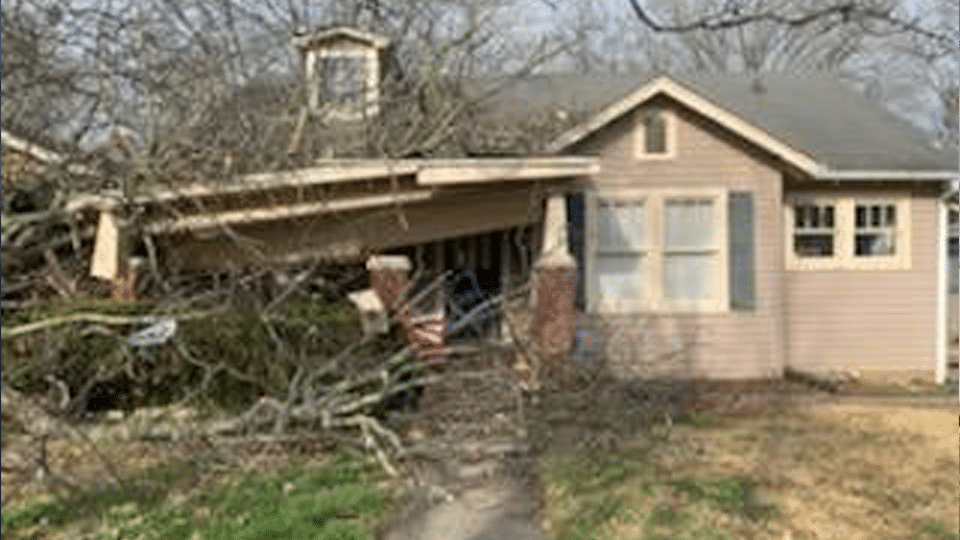 tree falls on Short Cherry Street home