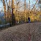 brush fire
