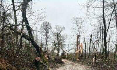 Tornado damage near Bovina Cutoff. Photo by Allen Pugh