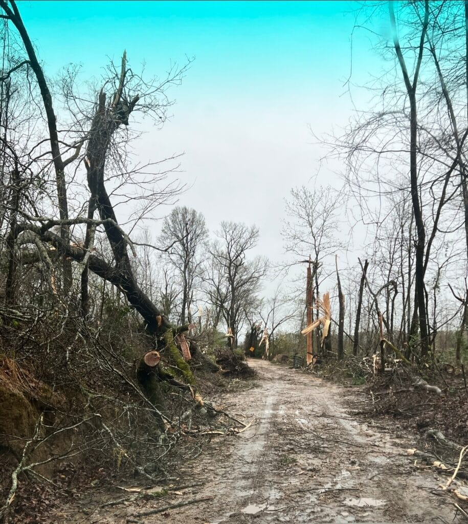 Tornado damage near Bovina Cutoff. Photo by Allen Pugh