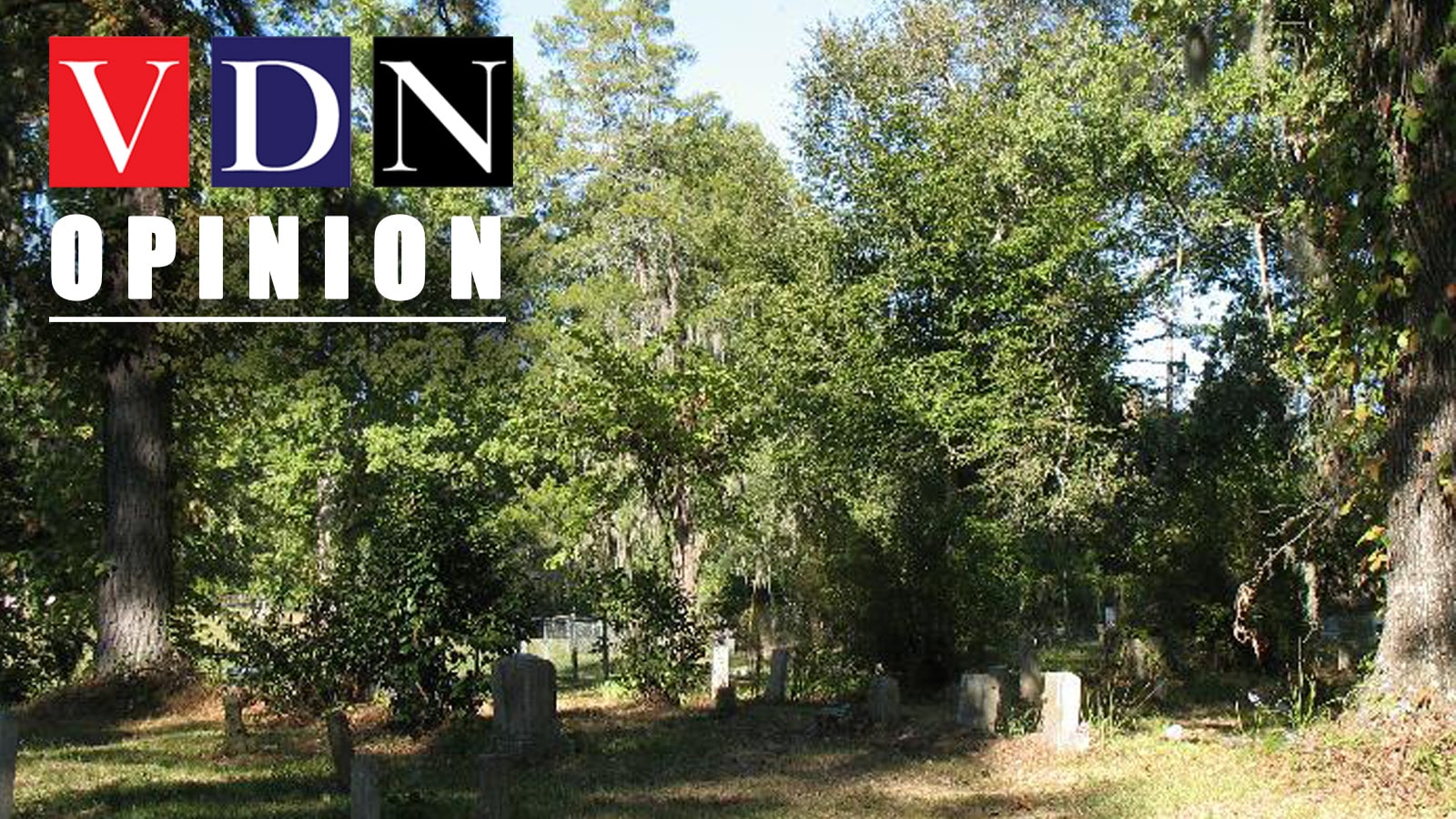 vdn opinion