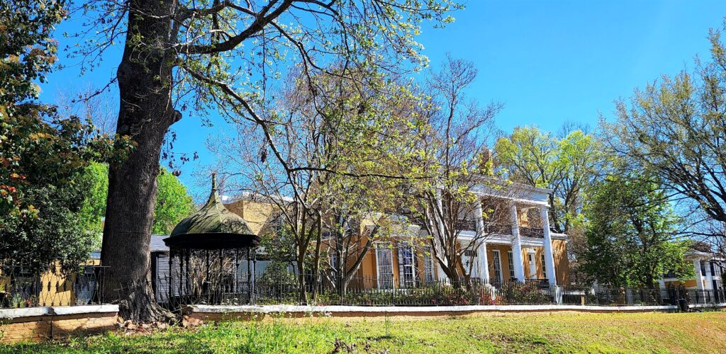 Cedar Grove. Photo by David Day