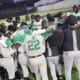 VHS baseball team