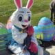 Easter Bunny