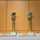 brain trophies