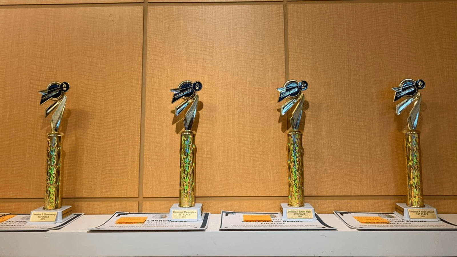 brain trophies