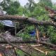Eagle Lake storm damage