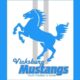 vicksburg mustangs