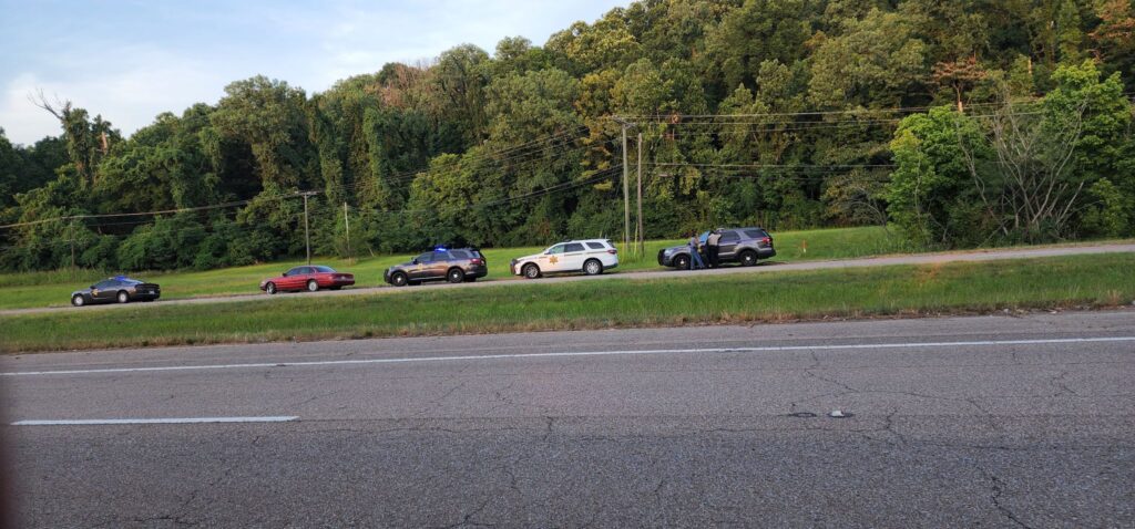 driver fled traffic stop