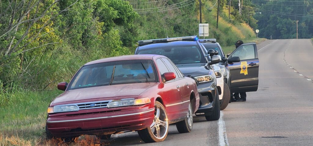 driver fled traffic stop