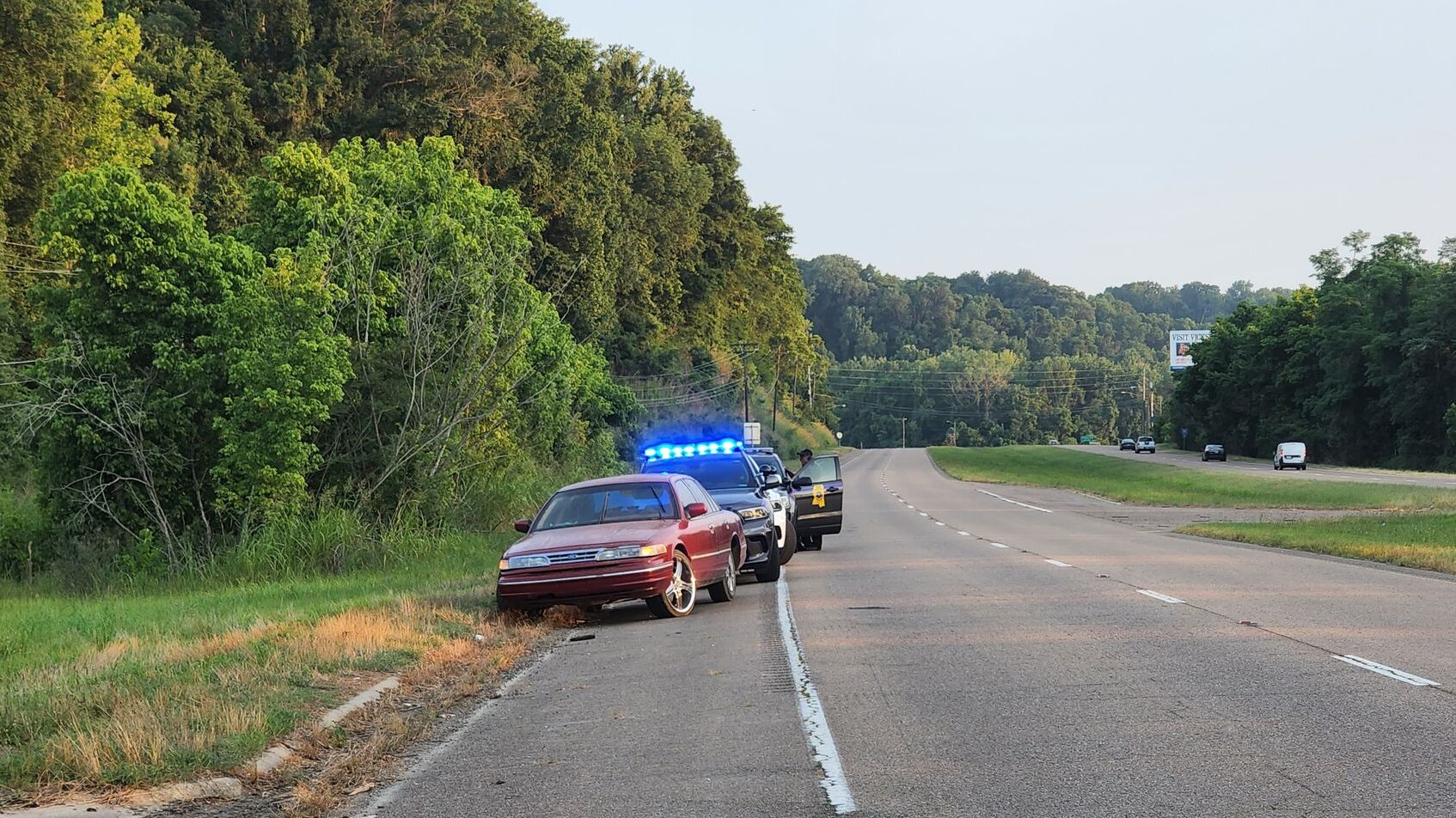 driver fled traffic stop