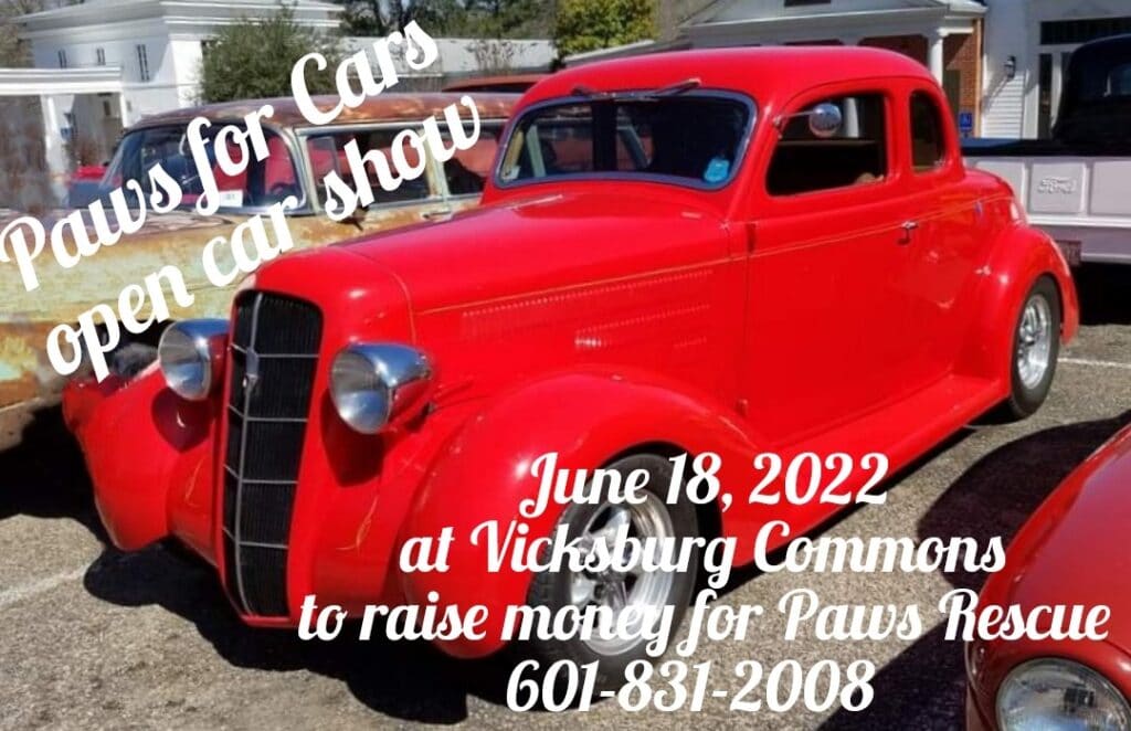 Paws for Cars Open Car Show