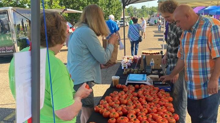 farmers market tomatoes