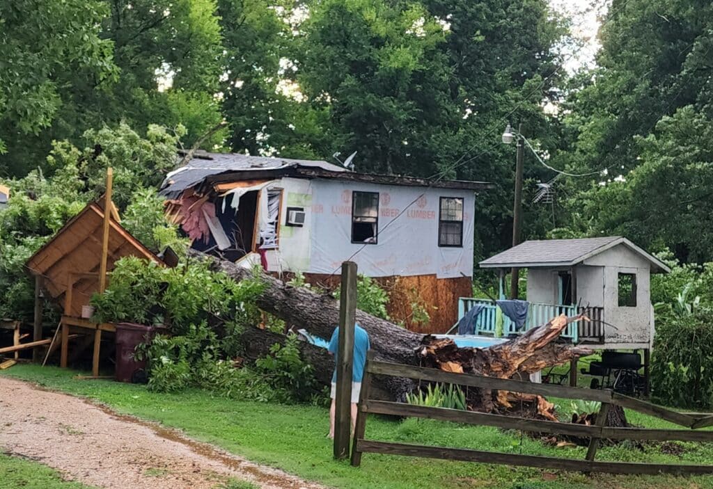 A tree on the house at Eagle Lake. Photo by David Day