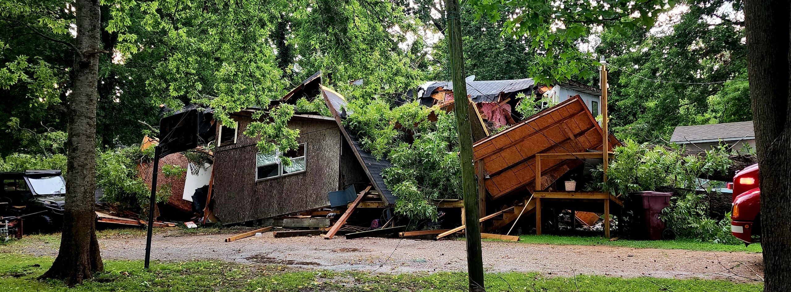 A tree on the house at Eagle Lake. Photo by David Day