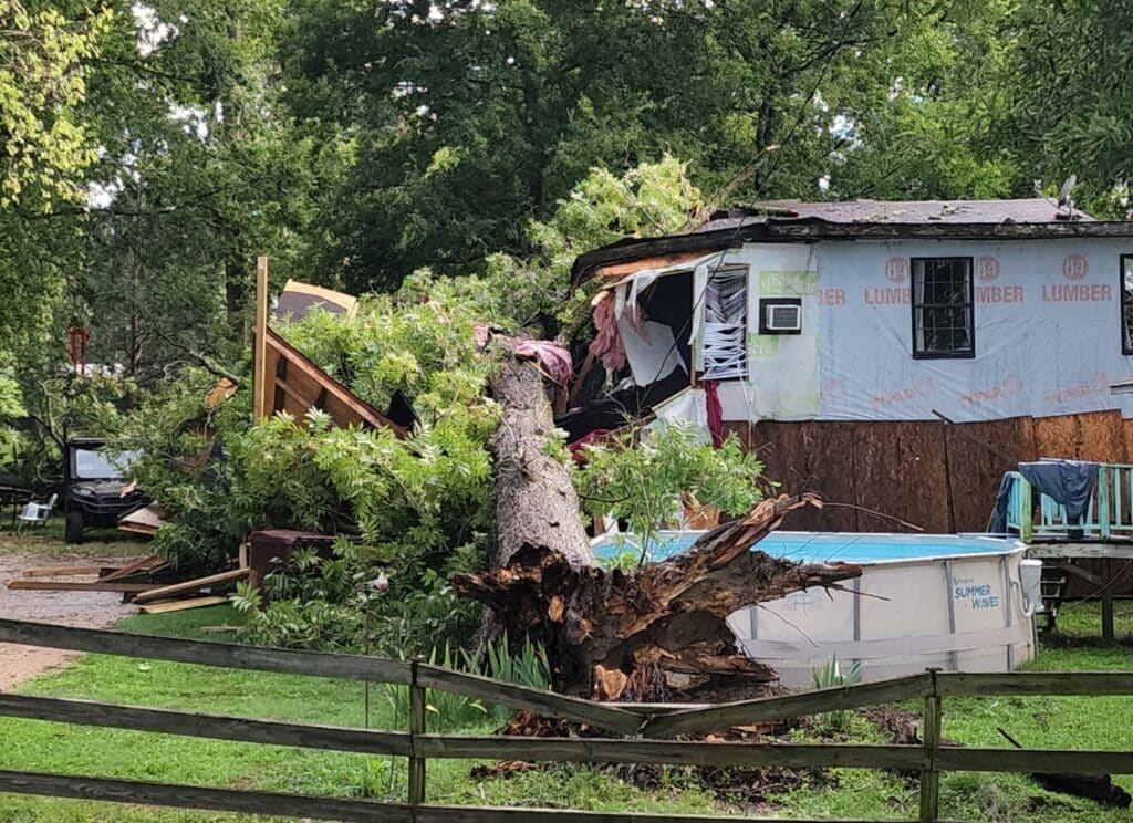 A tree on the house at Eagle Lake. Photo by David Day