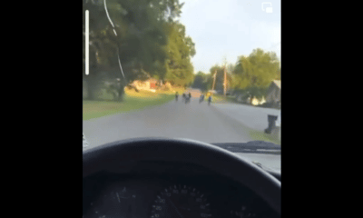 Tippah County racist man