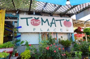 Tomato Place