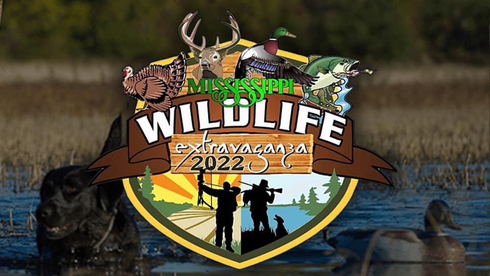Wildlife Extravaganza