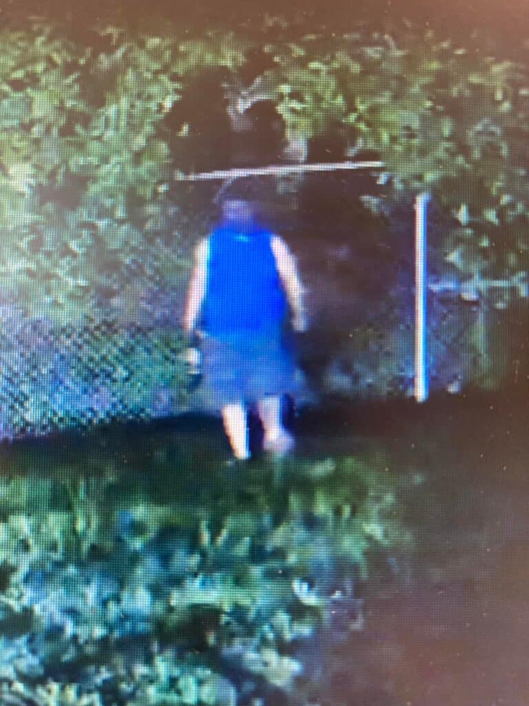 catalytic converter thief MDOT