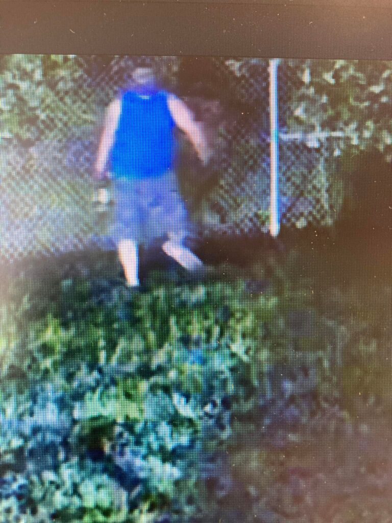 catalytic converter thief MDOT